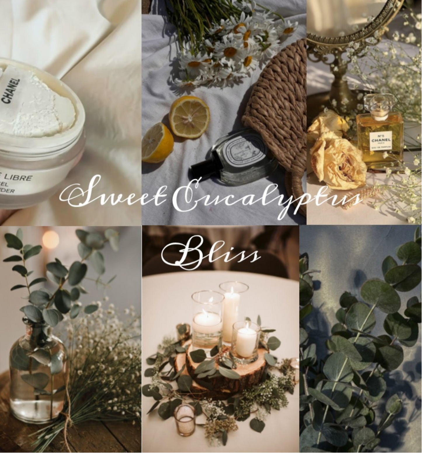 Collage of images featuring eucalyptus, lemon, and powder with a scenic background.