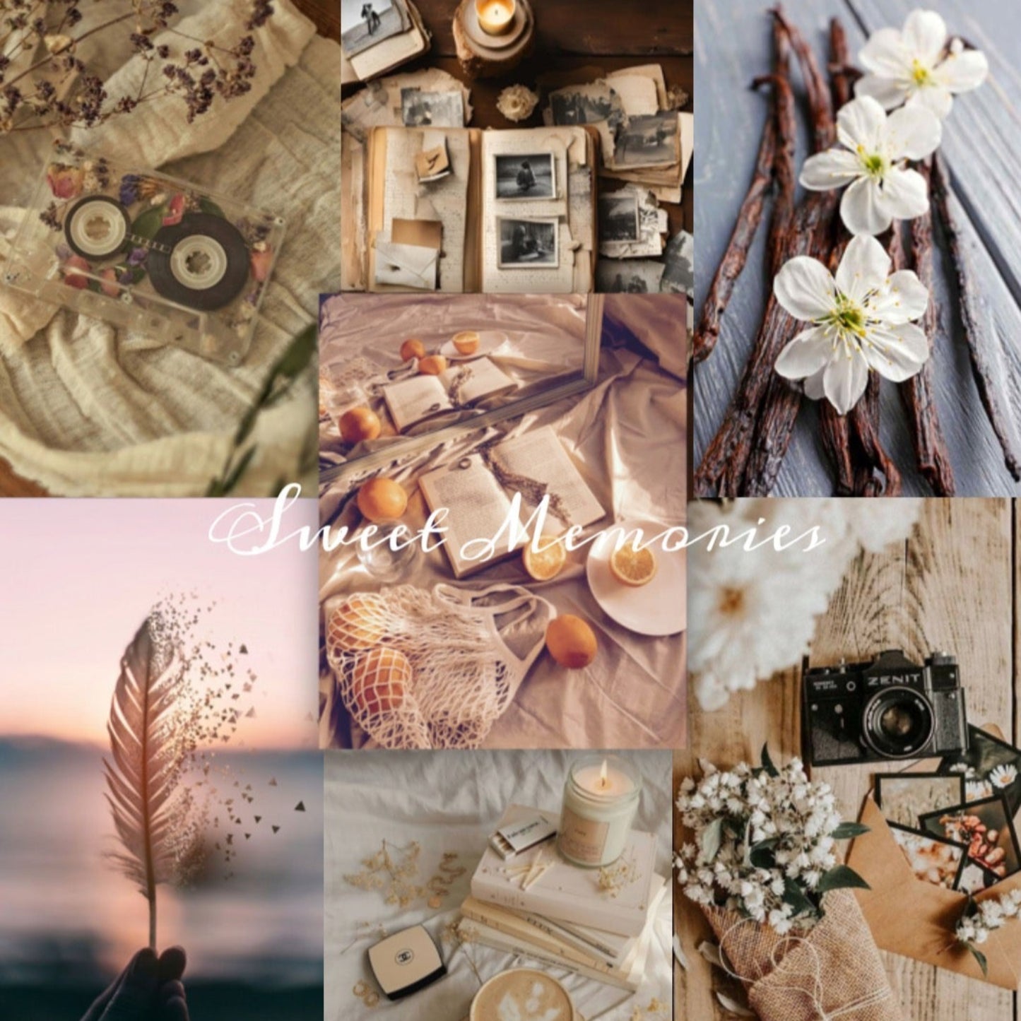 Collage of images with cameras, pictures, scrapbook of memories