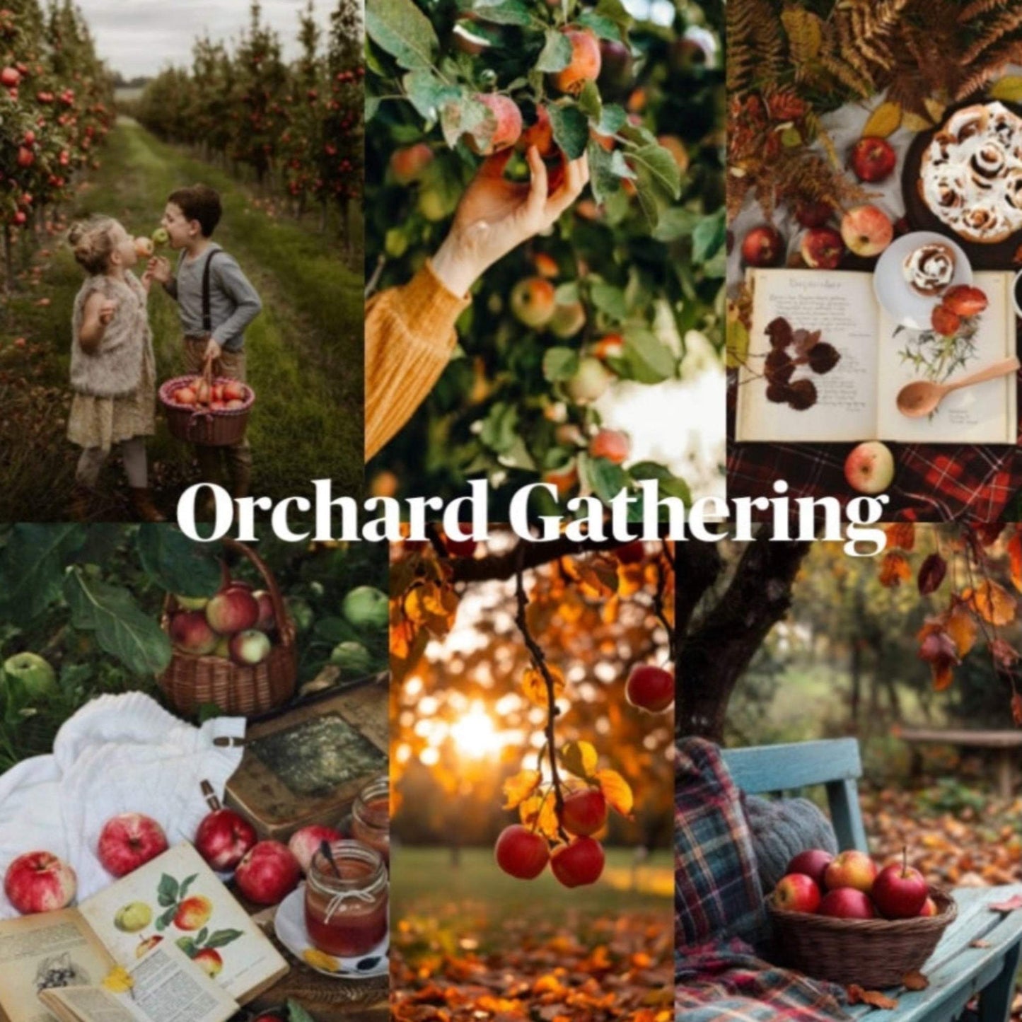 Collage of autumn-themed images with 'Orchard Gathering' text.