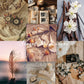 Collage of images with cameras, pictures, scrapbook of memories