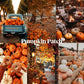 Collage of pumpkin patch scenes with pumpkins, a truck, and outdoor activities.