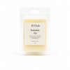 Autumn Air Wax Melt